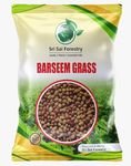 SRI SAI FORESTRY Berseem Grass Seeds - King of Fodder Grass Seed 100 Grams | Barseem Grass for Cow