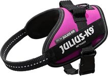 Julius-K9, 16IDC-DPN-MM, IDC Powerharness, dog harness, Size: XS/Mini-Mini, Dark Pink