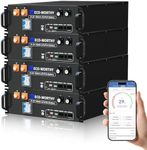 ECO-WORTHY 48V 400Ah Server Rack Ba