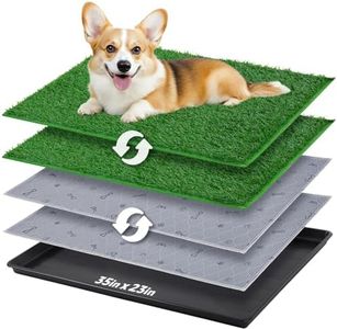 Dog Grass 