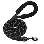 Dog Leash For Large Dogs