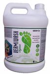 Greenedge Organic Vermiwash (5 Liters) Liquid Concentrate Fertilizer & Nutrition, 5 L