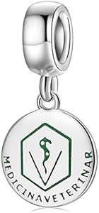 AIEGNOS 925 Sterling Silver Profession Architecture Psychology Dentistry Veterinary Science Charm Pendant Jewelry Charms Beads Gifts for Women Girls Fit European Charms Snake Bracelet, enamel, cubic zirconia,