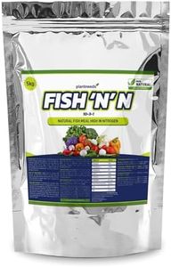 Fish N N P