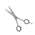 VEGA PROFESSIONAL Pro Craft 5" Silver line Hairdressing Scissor, (VPVSC-16)