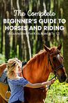 Horse Riding For Beginners