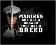 Marines Are Not A Branch - Military