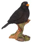 Vivid Arts Garden Birds (Blackbird)