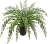 Hollyone Large Artificial Fern Pott