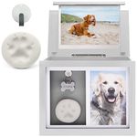 Chasing Tails Premium White Pet Urn - Large Memorial Dog Ashes for Keepsake, Urns for Dogs or Cats, Pet Urns for Memorial - with Paw Print and Photo Album