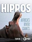 Hippos: Africa’s River Giants