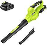 SnapFresh Leaf Blower Cordless with 20V Battery Powered & Charger - 130MPH 140CFM / 2-Speed / 25 min/Lightweight 2.35 kg -for Garden Patio Lawn Dust Yard Care Porch Sidewalk Cleaning