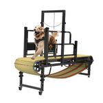 PawPaw's Dog Treadmill for Large Dogs, Medium Dogs with Brake. Dog Slatmill for Healthy & Fit Dog Life, Dog Treadmill for Indoor & Outdoor (Upgraded Large(Brake and Plastic Track))