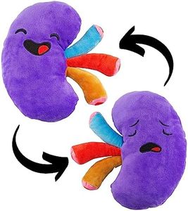 Attatoy Plush Kidney, Stuffed Body Organ Toy for Get Well Gift, Health Education and More