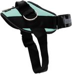 ShawnCo Essential Dog Harness, No-Pull Pet Vest with 3 Leash Clips, No Choke, Reflective, Adjustable and Padded, for Easy Walking and Training for Small, Medium and Large Dogs (Seafoam, S)