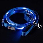 Blazin' Safety LED Dog Leash - USB 
