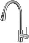 WEWE Kitchen Faucets with Pull Down