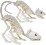 GIFTEXPRESS 2 Pack Real Size Cat Skeleton - 20" Long Creepy Kitten Skeletons with Posable Tail Halloween Decor - Indoor & Outdoor Haunted House Scary Animal Party Decoration