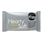 Padico Air Dry Clay Professional & Artist Quality Hearty Soft Clay 200 GM, White