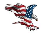 woopme Eagle American Flag Car Sticker Exterior Printed Vinyl Decal Sticker for Car Sides Hoods Bumper Rear (5 x 4 Inch, Multicoloured)