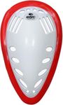 DSC Passion Cricket Abdominal Guard