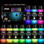 ABEIER Glow in the Dark Acrylic Pai
