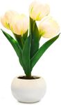 Tulips Night Light,LED Simulation Tulip Lamp in Ceramic Vase,Flower Table Lamp for Bedroom and Home Decor,Wedding Party Christmas Birthday Gifts for Women Girls (White)