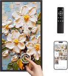 Dragon Touch Large Digital Picture 