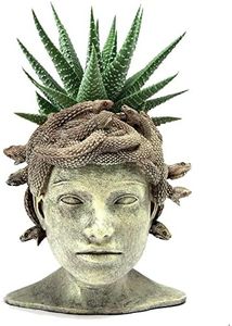 Medusa Head Planter, Large Solid Stone Face Planter Large Garden Decor Statue Flower & Planter Pot Waterproof Outdoor Garden Flower Pot Art Hand Crafted Original Sculpture - Unique Gifts