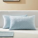 Topfinel Pale Blue Cushions 16x32 Inches Fluffy Velvet Cushion Cover Rectangle Soft Pillowcase for Bed Oblong Pillow Covers 40x80cm Set of 2 Boys Bedroom