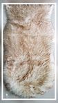 Householdfurnishing Lambskin Sheep Skin 100% Polyester Faux Fur Soft Door Mats Rug (Ivory Brown, 60X110)