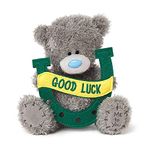 Me To You AP501054 Good Luck Horseshoe Tatty Teddy,Blue,grey