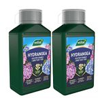 TOPLINE Westland Hydrangea Liquid Plant Food - Pack of 2 x 1L High - Performance Hydrangea Flower Feed with Topline Card. Garden Fertiliser for Plants,, Clear Liquid