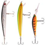 Fishing Baits