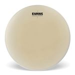 Timpani Drum Heads