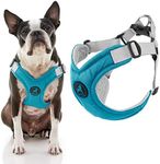 Gooby Memory Foam Step in Harness -