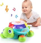 iPlay, iLearn Baby Musical Turtle T