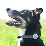 Animo - Sure Petcare Animo - Dog Behavior Monitor and Activity Tracker; (Bluetooth not a GPS Location Tracker); Free of Monthly Fees; Free App