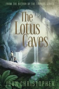 The Lotus Caves