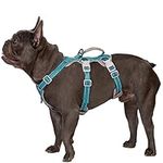 Huntboo No Escape Dog Harness, Escape Proof Harness, Fully Reflective Harness with Padded Handle, Breathable, Durable, Adjustable Vest for Medium Dogs Walking, Training, and Running Gear (Teal,M)