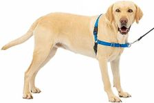 PetSafe Easy Walk No-Pull Dog Harness - The Ultimate Harness to Help Stop Pulling - Take Control & Teach Better Leash Manners - Helps Prevent Pets Pulling on Walks, Large, Royal Blue/Navy Blue