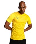 PUMA teamULTIMATE Jersey