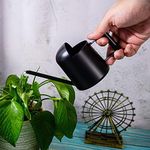 Mini Watering Can, 10oz/300ml Stain