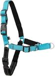 PetSafe EWH-D-HC-S-OCN Deluxe Easy 