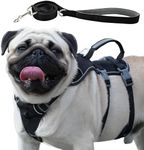 Wuffley Escape Proof Dog Harness an