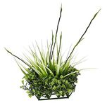 Fluval Chi Boxwood and Tall Grass Aquarium Ornament