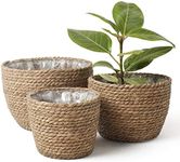 La Jolíe Muse Seagrass Planter Bask