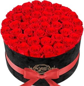 Forever Real Roses in Suede Box - 47-Piece Roses in a Box - Luxury Preserved Roses That Last Over a Year - Valentines Day Flowers for Delivery Prime - Mothers Day, Birthday, Christmas (Red)