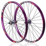 ZCXBHD 26/27.5/29-inch Bike Wheelset Quick Release MTB Wheel Set Alu Alloy Rim Disc Brake Hub Support 8-9-10-11-12 Speed Cassette (Color : Colorful, Size : 29in)