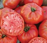 Tomato Mortgage Lifter 10 Seeds